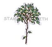 H-319-HK Sm. Leafy Shrub